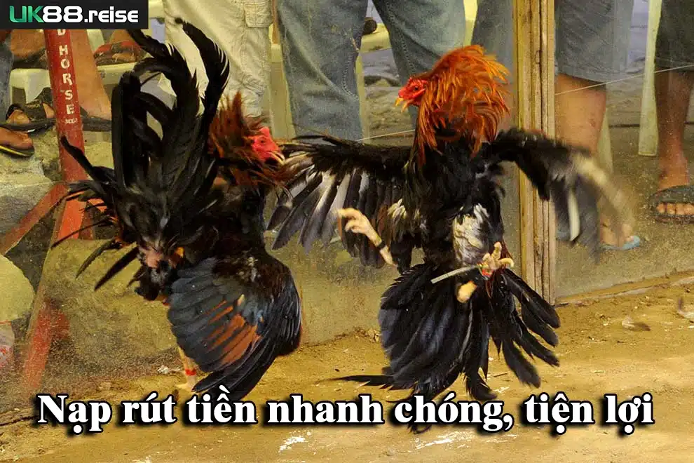 Nạp rút tiền nhanh chóng, tiện lợi